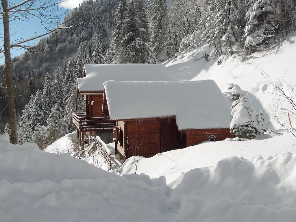 Appartement Col De La Faucille Mijoux Apartment